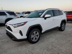 2024 Toyota Rav4 XLE en venta en Arcadia, FL