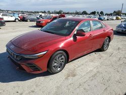 Hyundai Elantra salvage cars for sale: 2024 Hyundai Elantra SEL