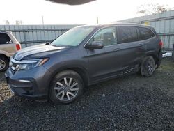 Honda Pilot salvage cars for sale: 2019 Honda Pilot EXL