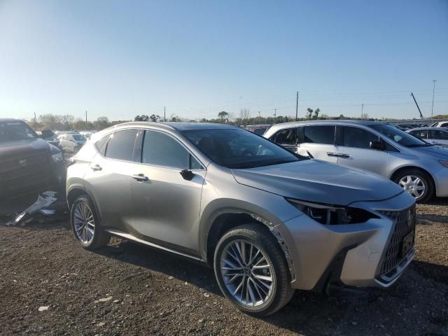 2022 Lexus NX 350