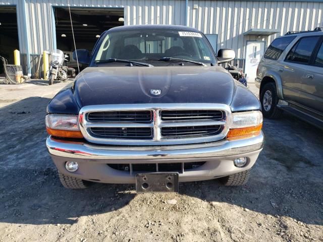 2003 Dodge Dakota Quad SLT