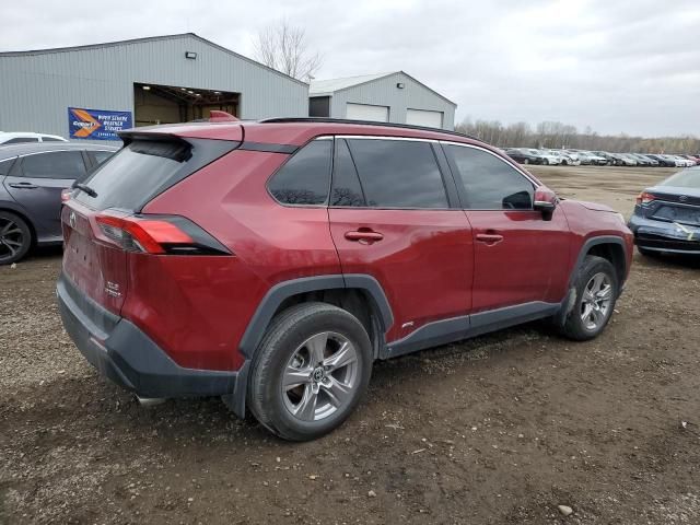 2023 Toyota Rav4 XLE