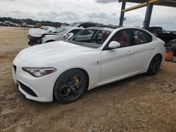 Alfa Romeo salvage cars for sale: 2019 Alfa Romeo Giulia TI