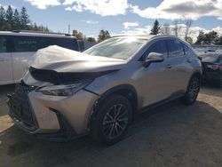 Lexus salvage cars for sale: 2024 Lexus NX 350 Premium