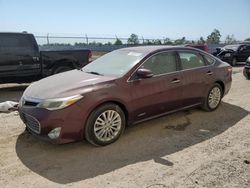 Toyota Avalon salvage cars for sale: 2015 Toyota Avalon Hybrid