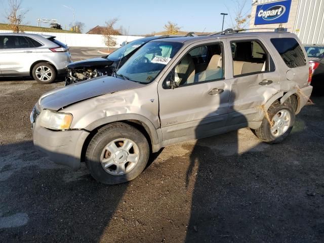 2001 Ford Escape XLT