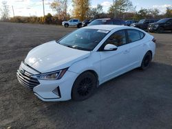 Hyundai Elantra salvage cars for sale: 2020 Hyundai Elantra SEL