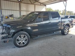 Salvage cars for sale from Copart Cartersville, GA: 2014 Ford F150 Supercrew