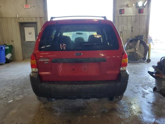 2007 Ford Escape XLT