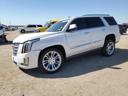 Cadillac Escalade salvage cars for sale: 2019 Cadillac Escalade Premium Luxury