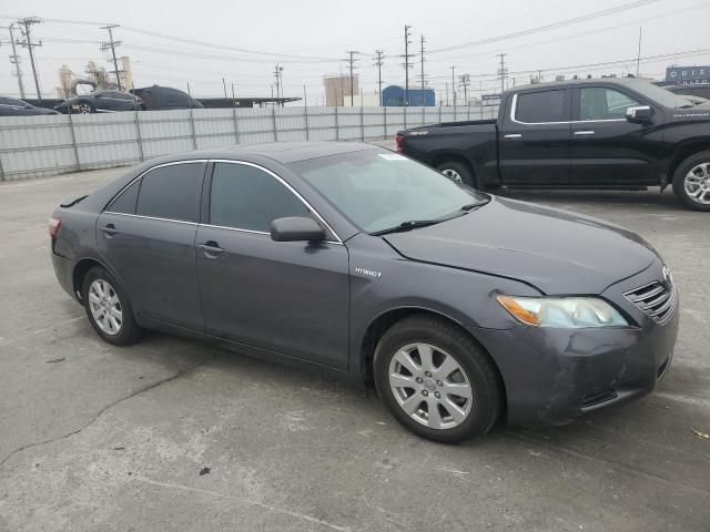 2009 Toyota Camry Hybrid