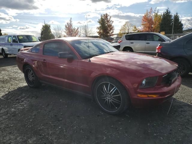 2005 Ford Mustang