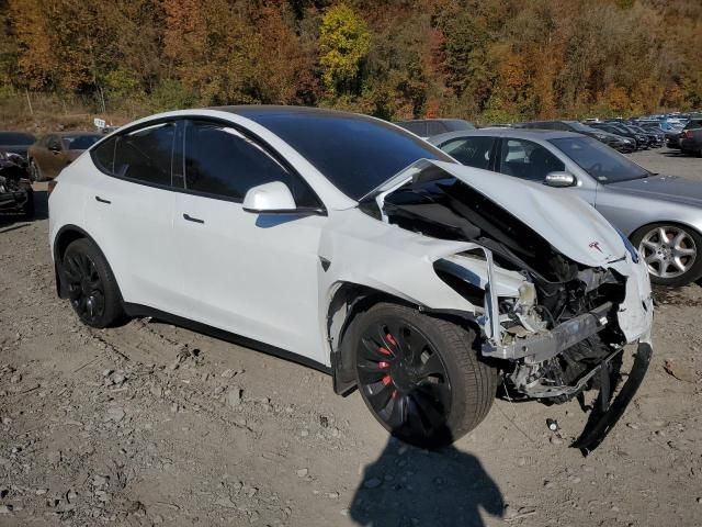 2021 Tesla Model Y