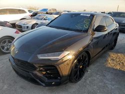 Lamborghini Urus salvage cars for sale: 2019 Lamborghini Urus