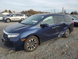 Honda Odyssey exl salvage cars for sale: 2024 Honda Odyssey EXL