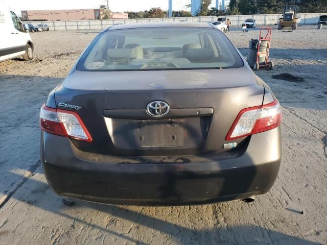 2009 Toyota Camry Hybrid