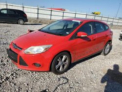 Ford Focus se salvage cars for sale: 2013 Ford Focus SE