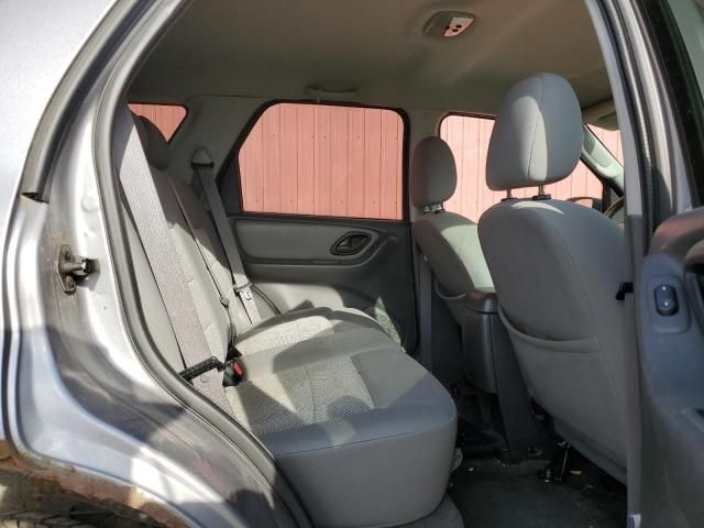 2007 Ford Escape XLT