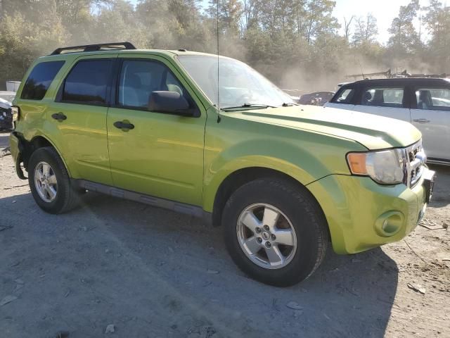 2011 Ford Escape XLT