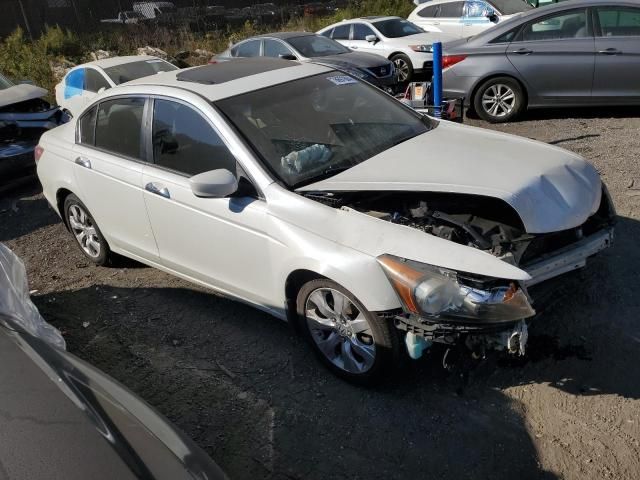 2008 Honda Accord EXL