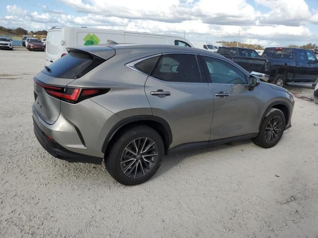 2024 Lexus NX 250 Premium