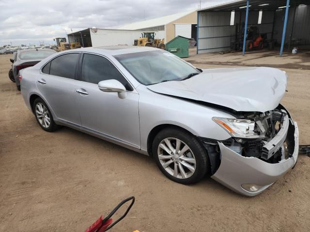 2010 Lexus ES 350