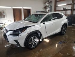 Lexus nx salvage cars for sale: 2020 Lexus NX 300