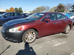 Nissan Maxima salvage cars for sale: 2009 Nissan Maxima S