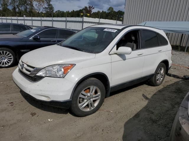 2010 Honda CR-V EXL