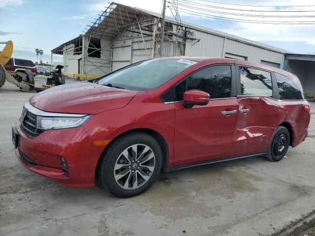 2022 Honda Odyssey EXL