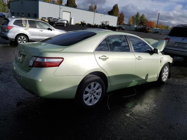 2009 Toyota Camry Hybrid