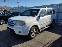 Honda Pilot salvage cars for sale: 2009 Honda Pilot EXL