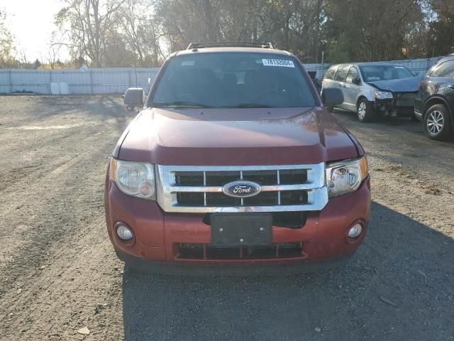 2012 Ford Escape XLT