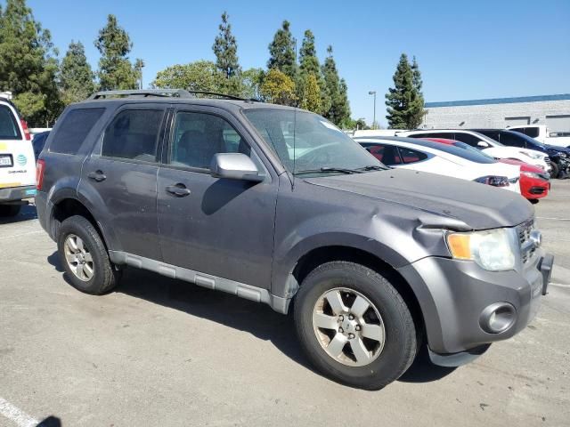 2010 Ford Escape Limited