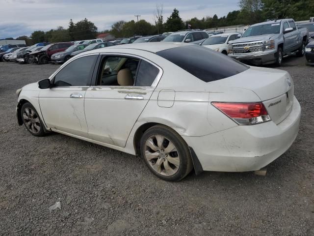 2010 Honda Accord EXL