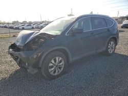 Honda crv salvage cars for sale: 2012 Honda CR-V EXL