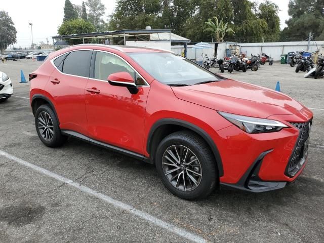 2024 Lexus NX 250 Base