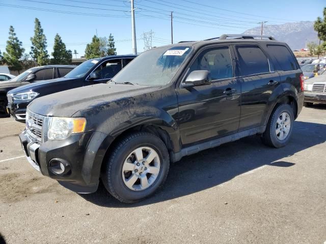 2011 Ford Escape Limited