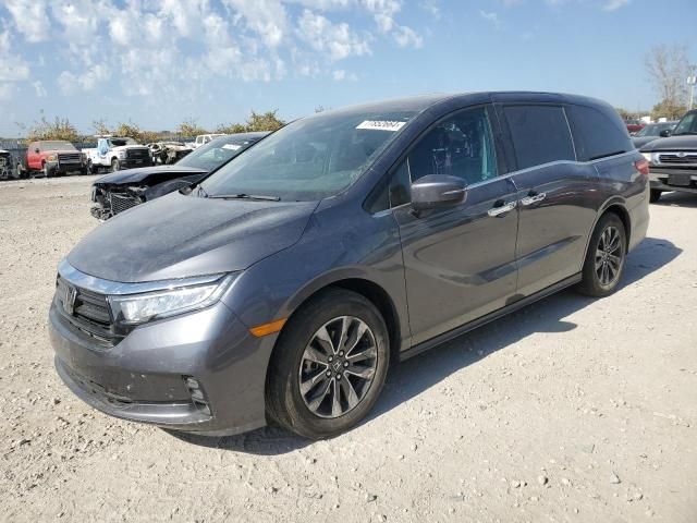 2023 Honda Odyssey EXL