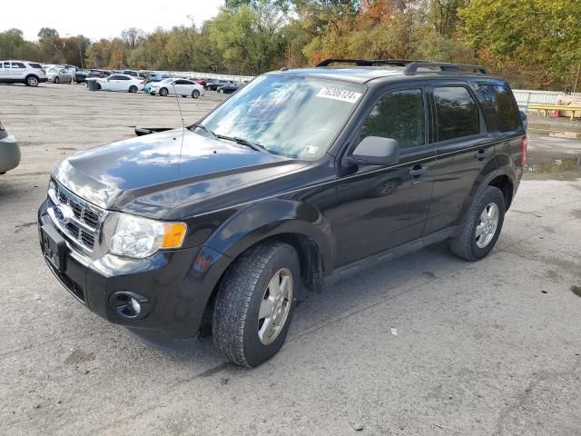 2011 Ford Escape XLT