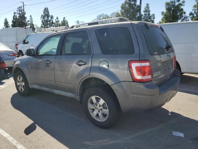 2010 Ford Escape Limited