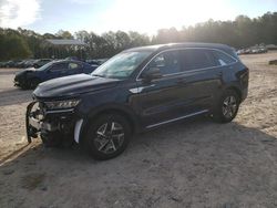 KIA salvage cars for sale: 2024 KIA Sorento EX