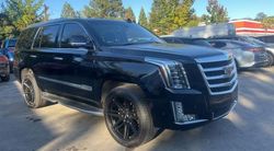 Cadillac salvage cars for sale: 2018 Cadillac Escalade Premium Luxury