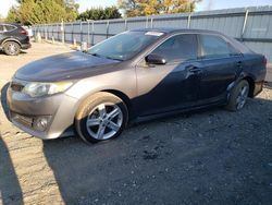 Toyota salvage cars for sale: 2014 Toyota Camry L