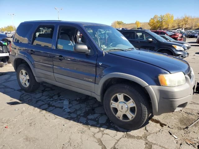 2002 Ford Escape XLT