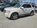 2009 Ford Escape Limited