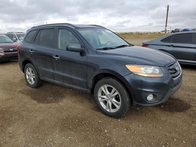 2010 Hyundai Santa FE SE