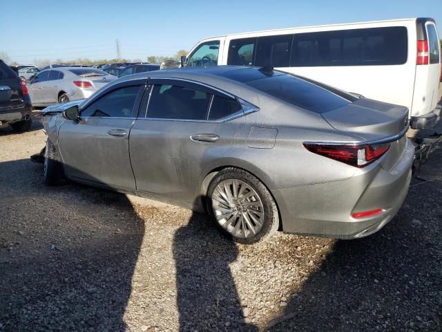 2020 Lexus ES 350 Luxury