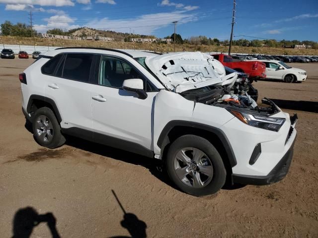 2024 Toyota Rav4 XLE