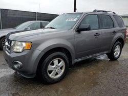 Ford Vehiculos salvage en venta: 2011 Ford Escape XLT